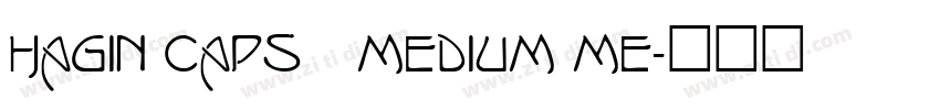 Hagin Caps Medium Me字体转换